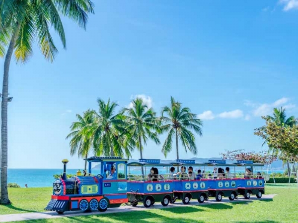 機(jī)械動(dòng)力類